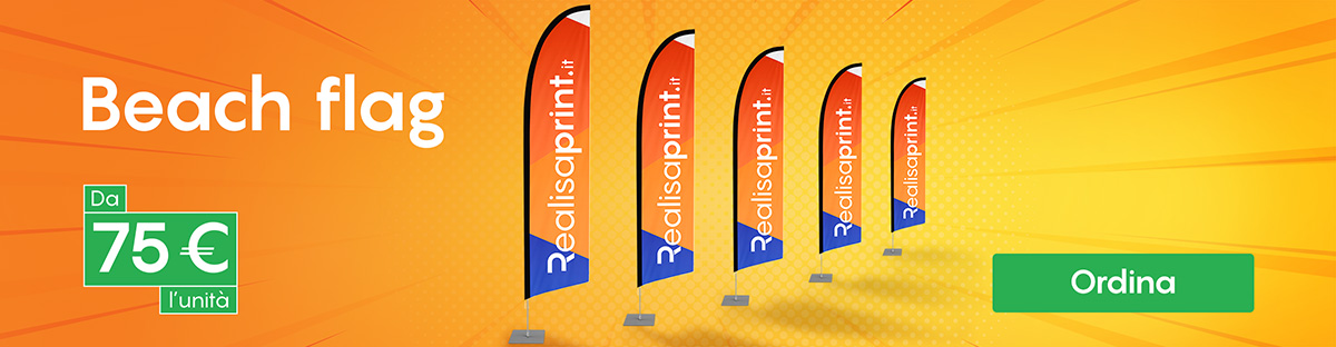 Beach flag