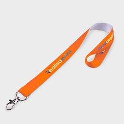 Lanyard